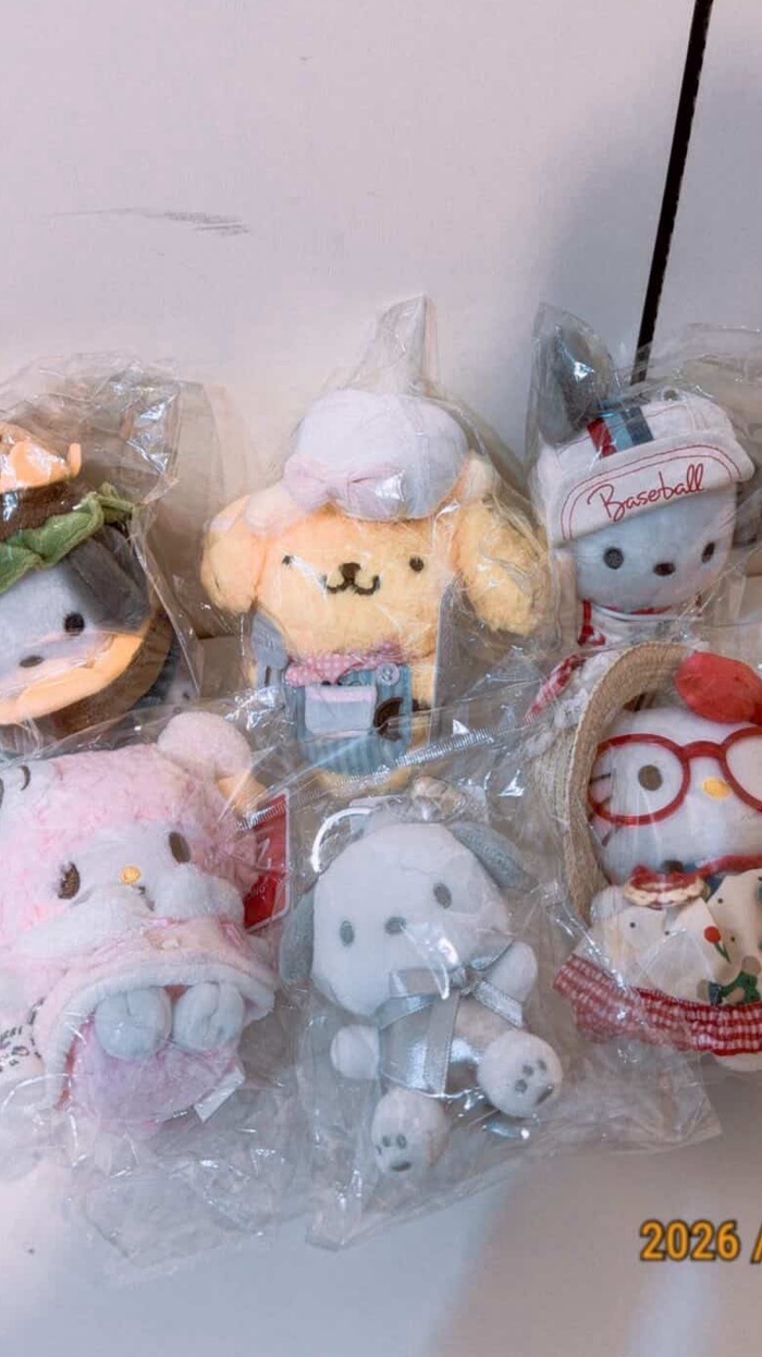 ☁️🐷選物店✨