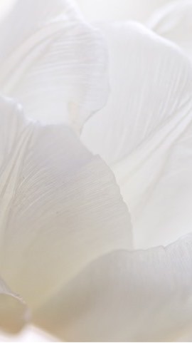 🦷牙科廢話群💋