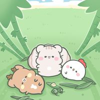 新星期一排舞班