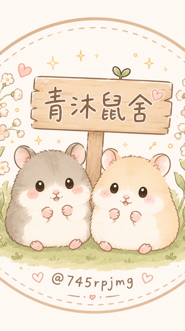 青沐鼠舍｜波利鼠金絲熊𑁍ࠬܓ