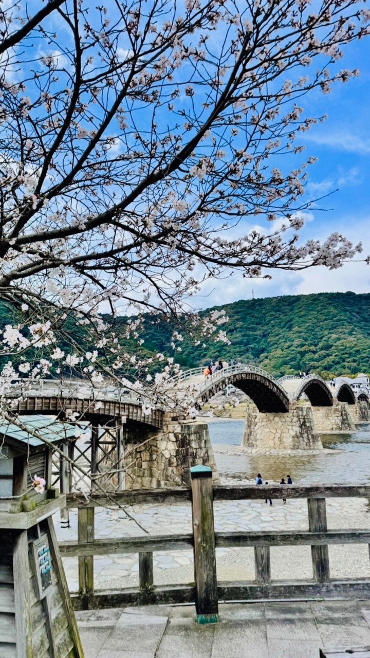 雑談はつづくよどこまでも🐈‍⬛ᯓᡣ𐭩(趣味、日常、アニメ、ゲーム、たまにライブトーク、なんでも雑談部屋)