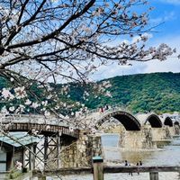 雑談はつづくよどこまでも🐈‍⬛ᯓᡣ𐭩(趣味、日常、アニメ、ゲーム、たまにライブトーク、なんでも雑談部屋)