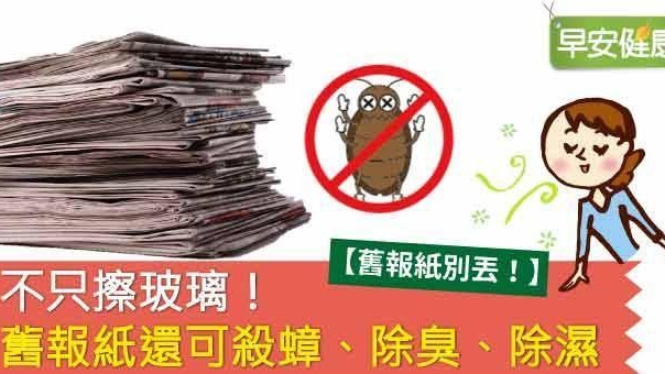 不只擦玻璃！舊報紙還可殺蟑、除臭、除濕