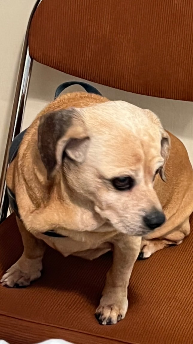 高師特教113新生群