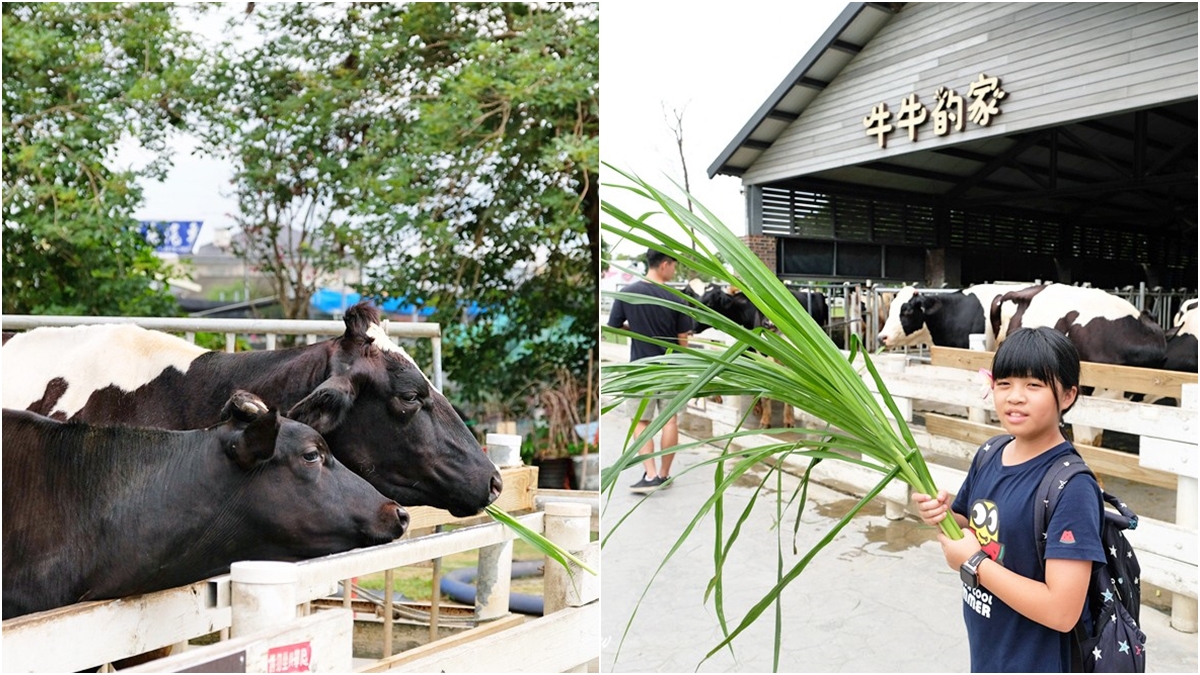 別只衝劍湖山！雲林虎尾６免費景點：百年鐵橋、破萬坪日式庭院、最美媽祖廟