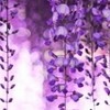 ꒷꒦‪ ハント してから始まる 物語 ꒷꒦‪ ：緩也 ( 鬼滅の刃 ✖︎ 銀魂 )