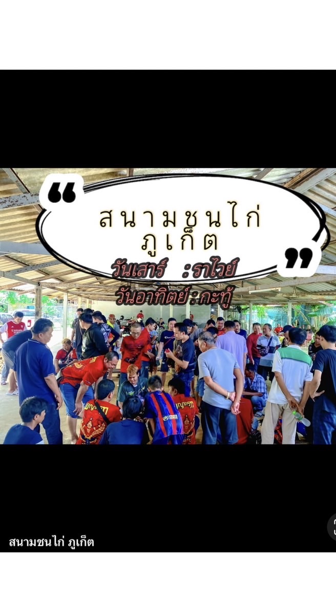 สนามชนไก่ราไวย์สเตเดี้ยมภูเก็ต 🐓🏆
