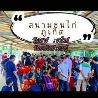 สนามชนไก่ราไวย์สเตเดี้ยมภูเก็ต 🐓🏆