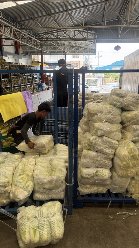 ผักเมืองหนาว เบอร์รอง (ตลาดไท)