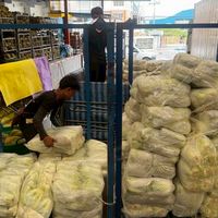 ผักเมืองหนาว เบอร์รอง (ตลาดไท)