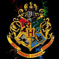 Hogwarts Magic University