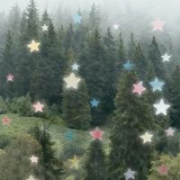雑談勉強雑談雑談イラストオプ‼️‼️🌳