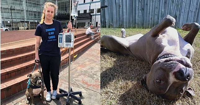 比特犬提前感應病徵救命　主人感動：沒牠不可能活