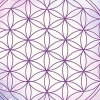 羿晅單親媽-成為獨立自主新時代女性