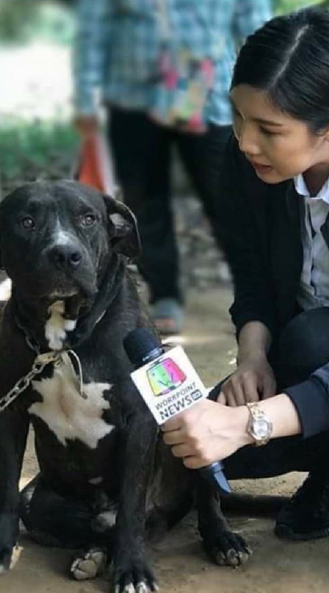เหล่าสัตว์เลี้ยงของโอคิน