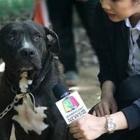 เหล่าสัตว์เลี้ยงของโอคิน