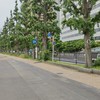 イカとイブとカカで共同アニメ考える会
