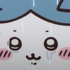 K pop小卡買賣