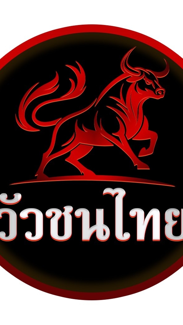 วัวชนไทย - ข่าวสาร เปรียบวัว