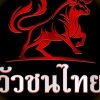 วัวชนไทย - ข่าวสาร เปรียบวัว
