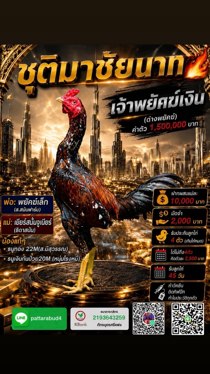 ฝากผสม“เจ้าพยัคฆ์เงิน”🌟🔥