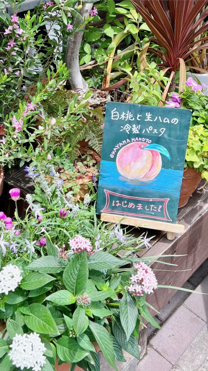 県外から岡山へ来た女性限定