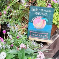 県外から岡山へ来た女性限定