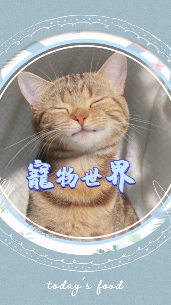 寵物世界