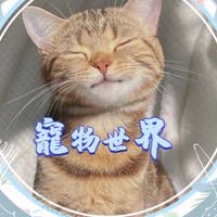 寵物世界