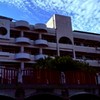 永和國中豬仔群