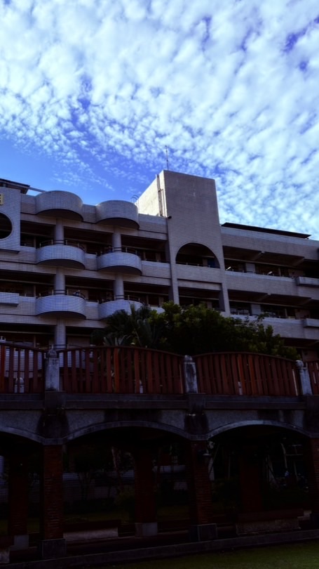 永和國中豬仔群