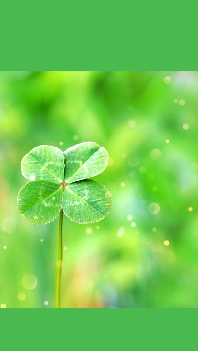 s380🍀clover たまに☘️