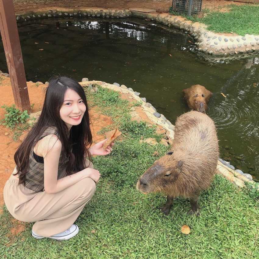 桃園景點推薦 #6｜楊梅區．埔心牧場