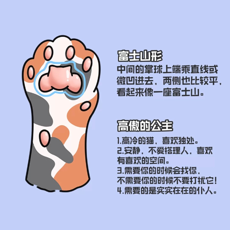 下滑至內文看更多