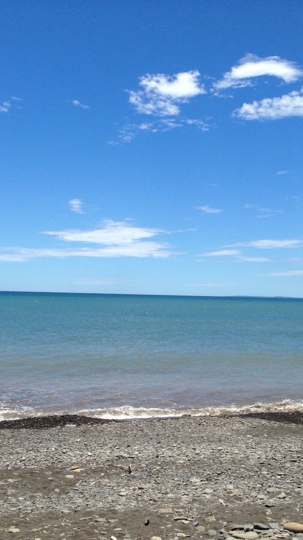 夢子翻身當沖聊天群