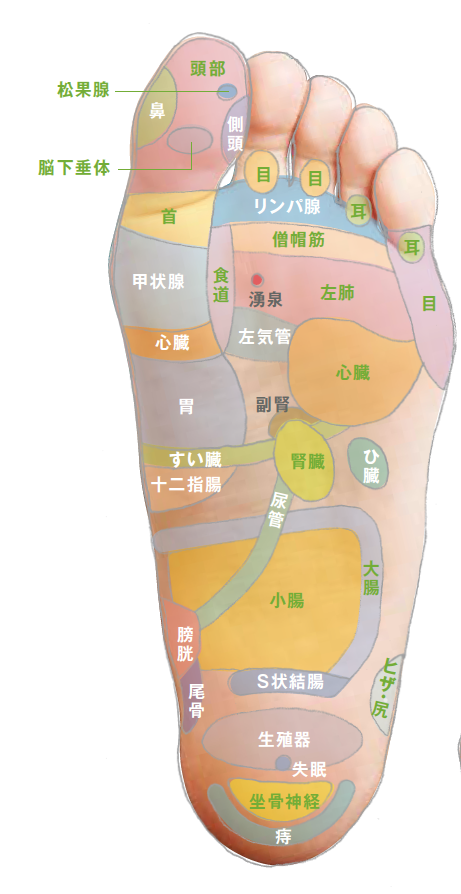 足裏もみで自然治癒力を上げよう 風邪を予防 緩和するツボ押し