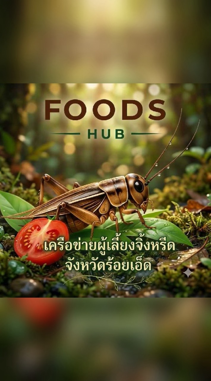 🦗เครือข่ายผู้เลี้ยงจิ้งหรีด  จังหวัดร้อยเอ็ด