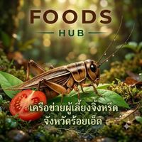 🦗เครือข่ายผู้เลี้ยงจิ้งหรีด  จังหวัดร้อยเอ็ด