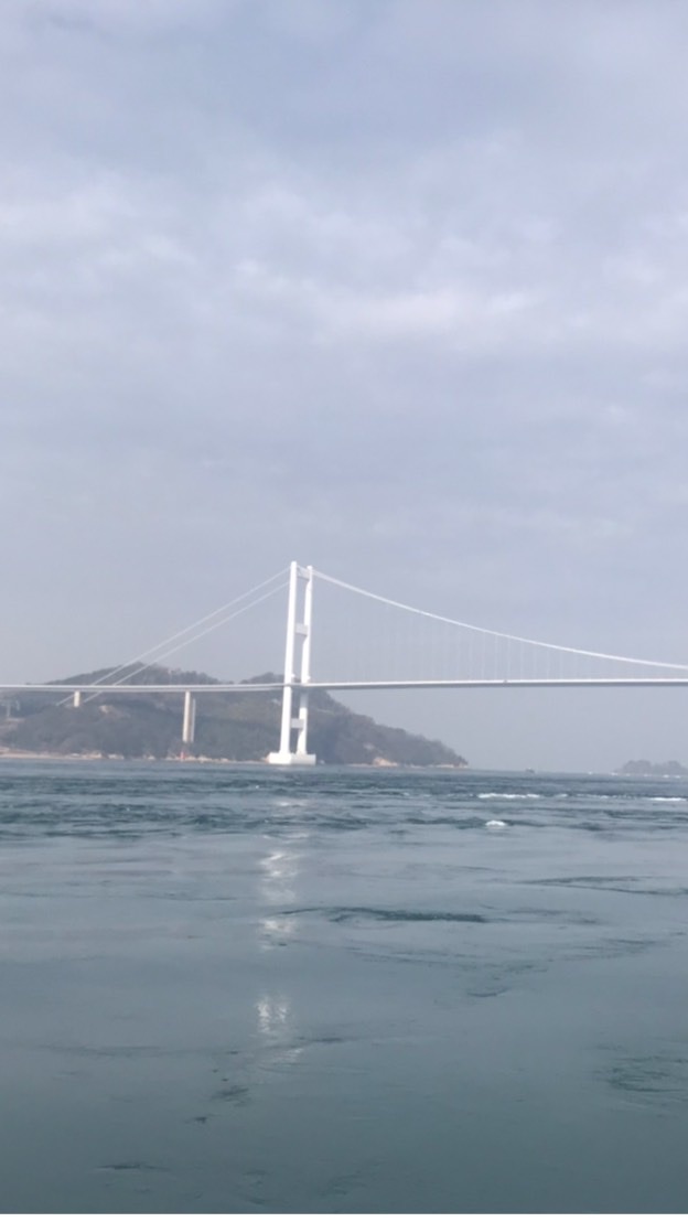 今治釣り情報