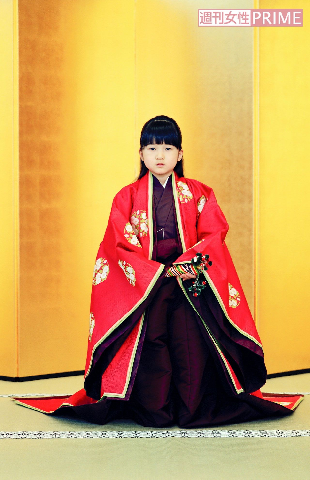 愛子さま専用 51Pvg9UHpxL._UF350,350_QL50_.jpg