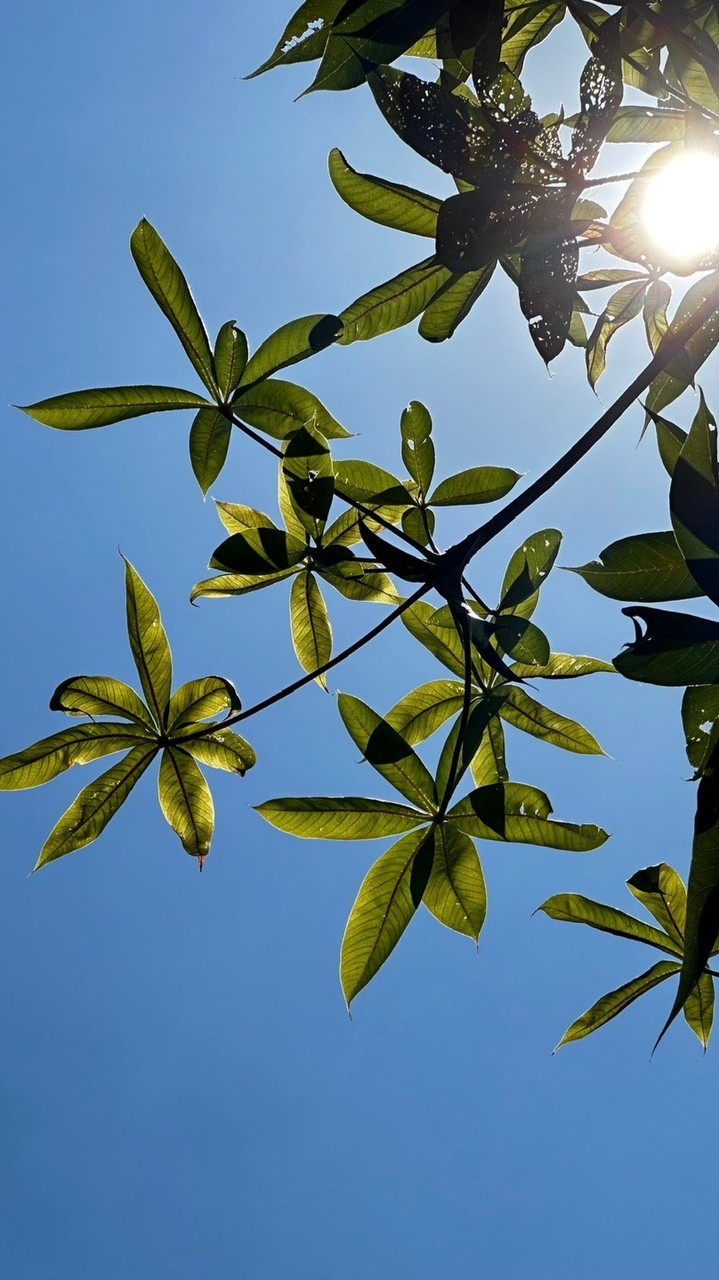 週三菜團幫(週四熱舞社)