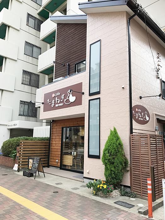 串cafeたまねぎ カフェスタイルの串揚げ店でお洒落な美味しいランチ