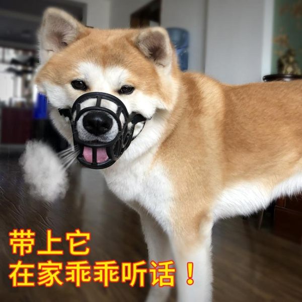 狗狗嘴套狗嘴罩防咬叫亂吃中大型犬狗口罩金毛狗止吠器寵物嘴套