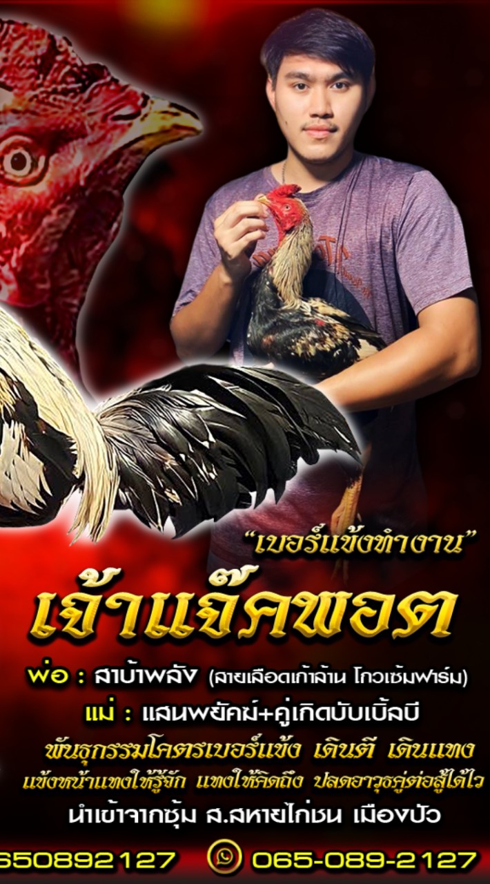 🐓🐓ซุ้ม เชิงชาย🐓🐓