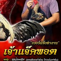 🐓🐓ซุ้ม เชิงชาย🐓🐓