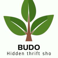 BUDO HIDDEN THRIFT SHOP