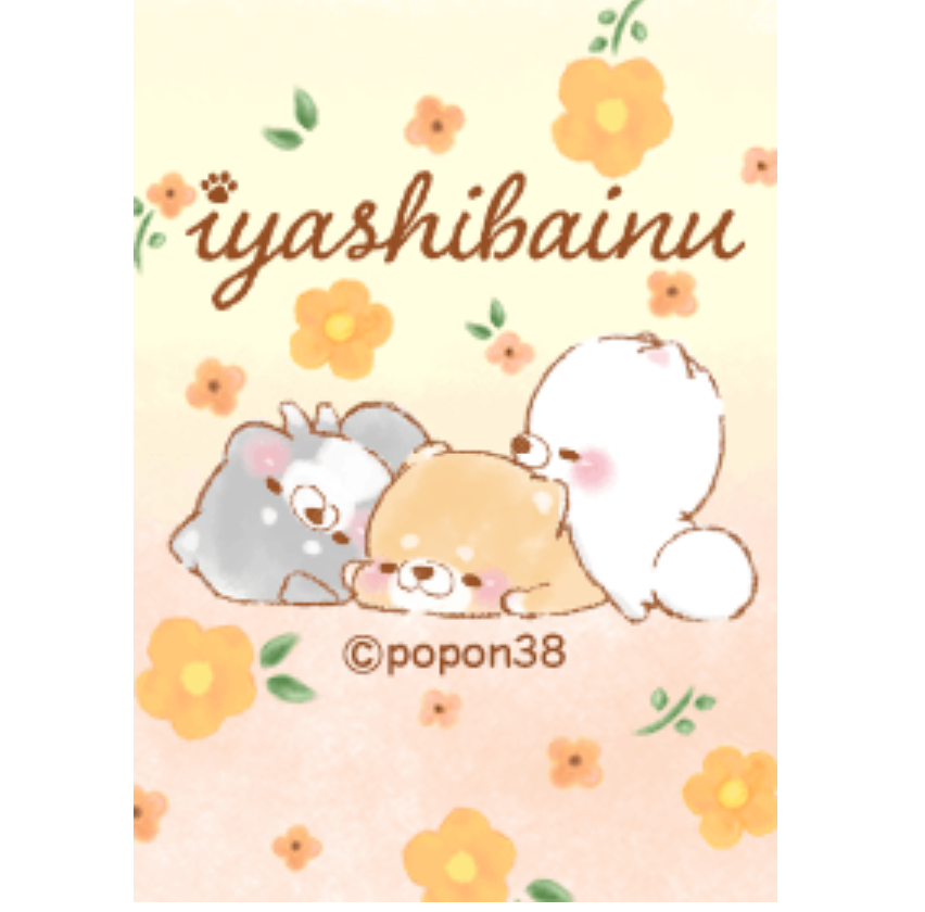 iyashibainu autumn