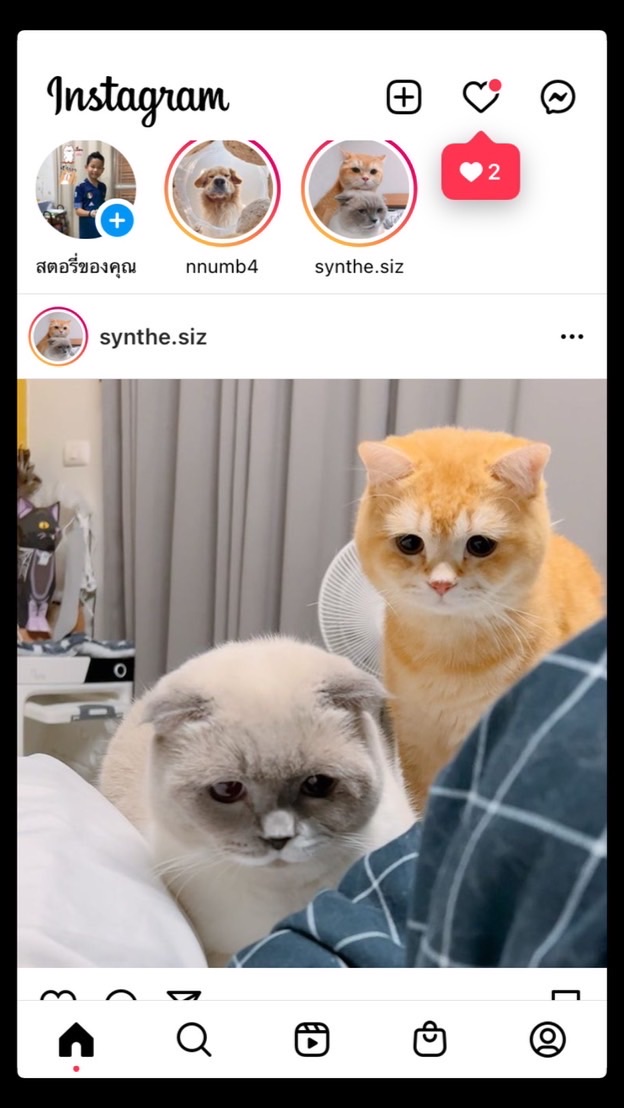 คุยเล่น