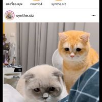 คุยเล่น