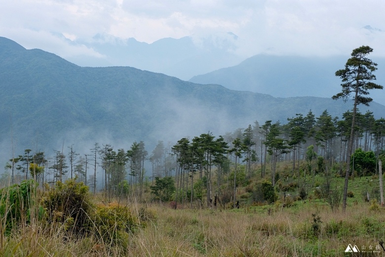 山女孩Melissa_羅馬縱走_羅葉尾山_馬武佐野郡山1422-2.JPG